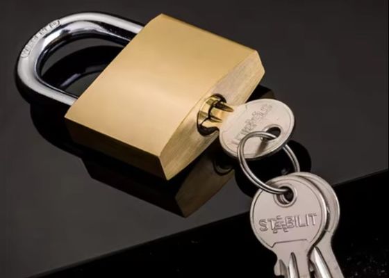 Bloco de cobre de segurança 20 mm de cobre pesado em massa ODM