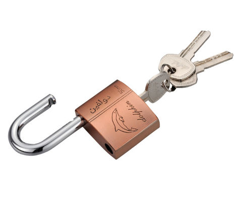 Fechaduras de grãos de aço de ferro vermelho de bronze resistentes ao tempo